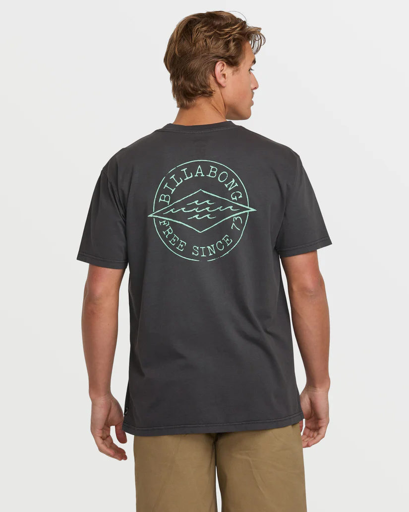 CAMISETA MASCULINO BILLABONG BIG DAVE PREMIUM WW – foto 2